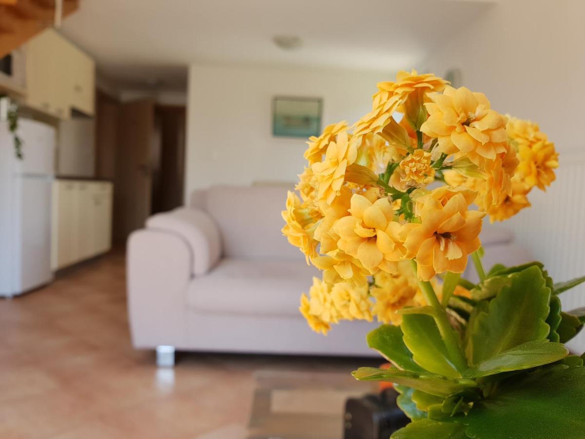 Apartments Skocic Vodice Luaran gambar