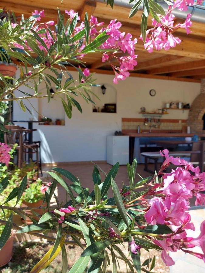 Apartments Skocic Vodice Luaran gambar